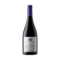 Vino Errazuriz Aconcagua Costa Syrah Botella 750cc