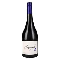 Vino Garcés Silva Amayna Pinot Noir 750cc