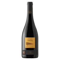 Vino Montgras Antu Syrah 750ml