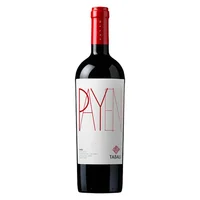 Vino Tabalí Payen Syrah 750cc