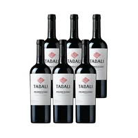Vino Tabali Pedregoso Gran Reserva Merlot Botella 750cc X6