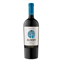 Vino Undurraga Aliwen Merlot 750cc