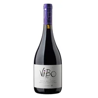 Viu Manent Vibo Punta Del Viento Mezcla Tinta 750 Ml