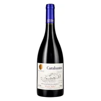 Von Siebenthal Carabantes Syrah