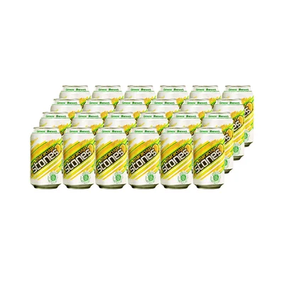 24x Cerveza Stones Maracuyá Lata 350cc