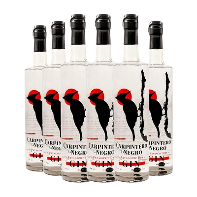 6x Gin Carpintero Negro Patagonic Dry 42,5˚ - 750ml