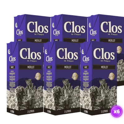 6x Vino Clos de Pirque - Merlot Tetra 2L