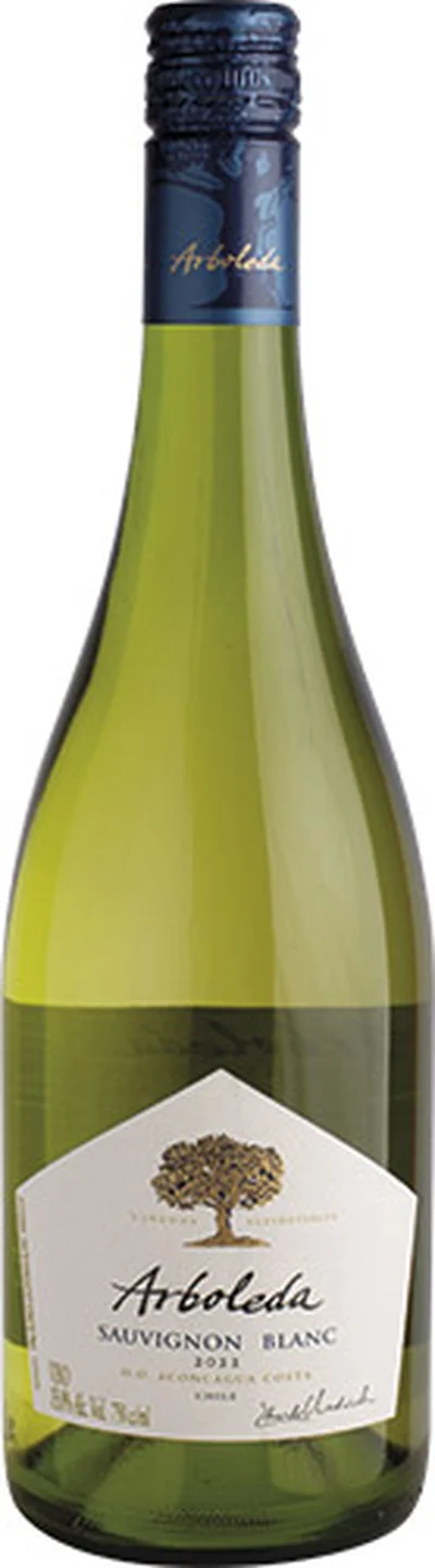 Arboleda Sauvignon Blanc 2022