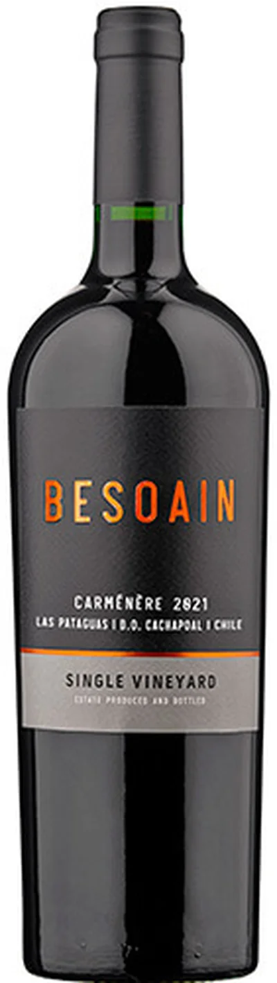 Besoain Single Vineyard Carmenere 2021