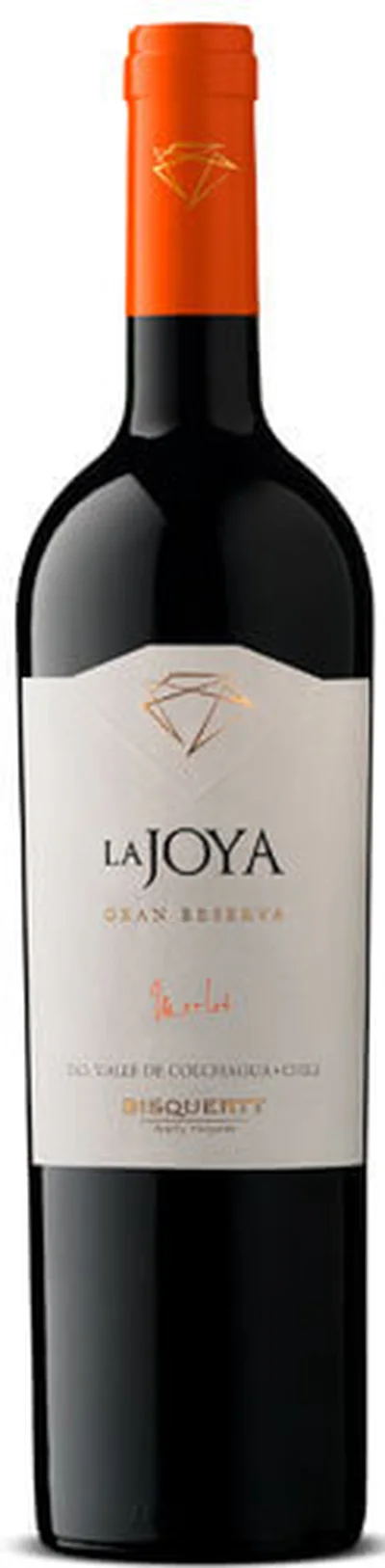 Bisquertt La Joya Merlot Gran Reserva 2020