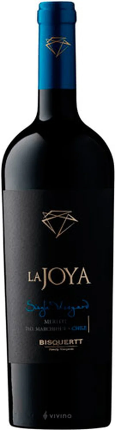 Bisquertt La Joya Single Vineyard Merlot 2019