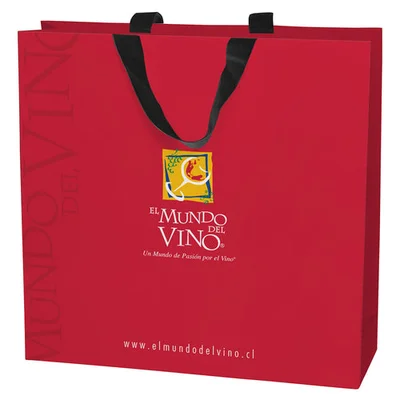 Bolsa Accesorios Grande, Papel Bond