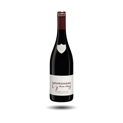 Bourgogne - Vignerons Bel-Air, Gamay, 2021