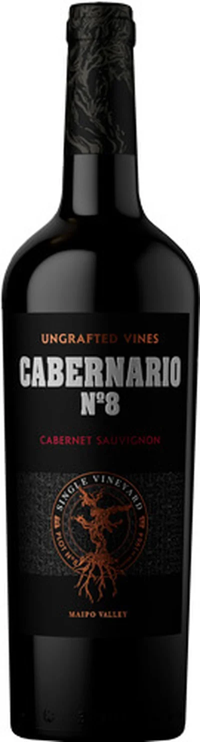 Cabernario N°8 2021