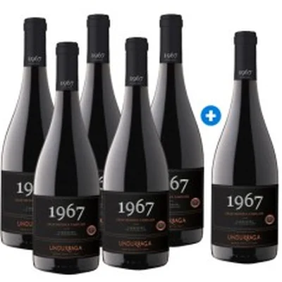 Caja 6 unidades Undurraga 1967, Gran Reserva Familiar, Carmenere (PAGUE 5, LLEVE 6)
