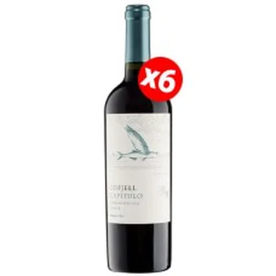 Caja de 6 botellas de Odfjell Capítulo Carmenere ($4.990 c/u)