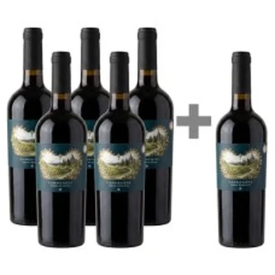 Caja de 6 unidades Casa Marín Carmenère Gran Reserva  750 ml (PAGUE 5 LLEVE 6) ($4.991 c/u)