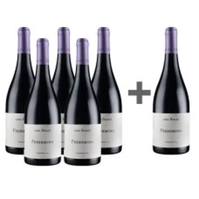 Caja de 6 unidades Presumido Carmenere, Casa Bauza ( PAGUE 5, LLEVE 6)