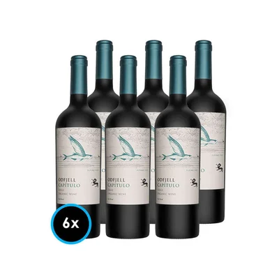 CAJA ODFJELL FLYING FISH: 6x Vinos Odfjell Gran Reserva Capítulo Flying Fish (CA/CS/MA/SY) 750cc