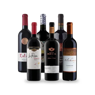 Caja Temática Asado - 6 vinos