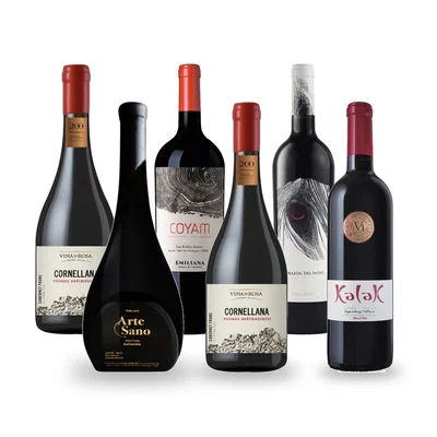 Caja Temática Cachapoal y Colchagua - 6 vinos