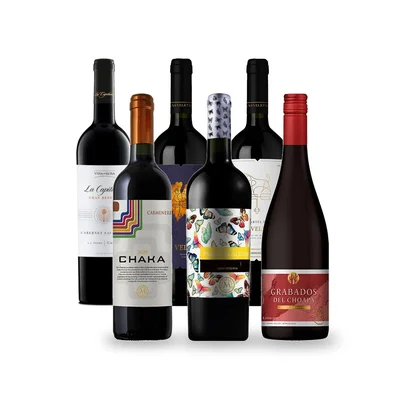 Caja Temática Carmenere - 6 vinos