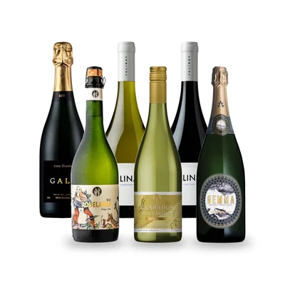 Caja Temática El Norte: Limarí, Choapa y Elqui - 6 vinos