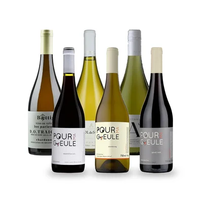 Caja Temática Sur Austral: Malleco - 6 vinos