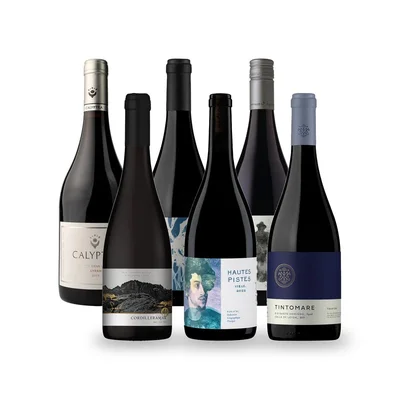 Caja Temática Syrah - 6 vinos