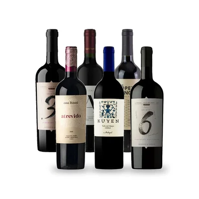 Caja Temática Valle del Maipo - 6 vinos