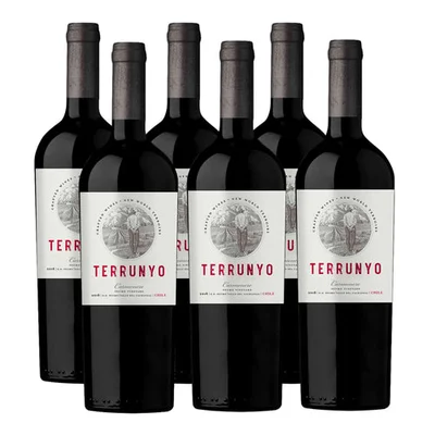 Caja X 6 Concha Y Toro Terrunyo Carmenere 750 Ml