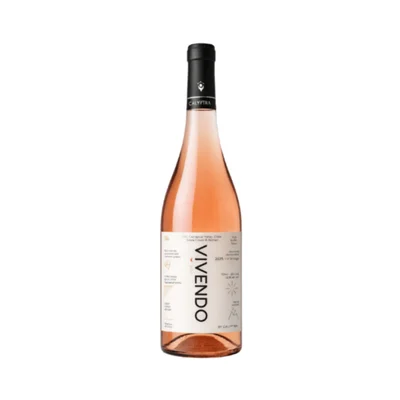 Calyptra - Vivendo, Rosado, 2025