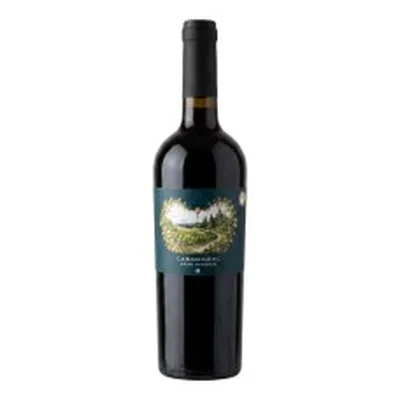Carmenère Gran Reserva Casa Marín 750 ml – Vino Tinto Chileno 14° | Valle de San Antonio