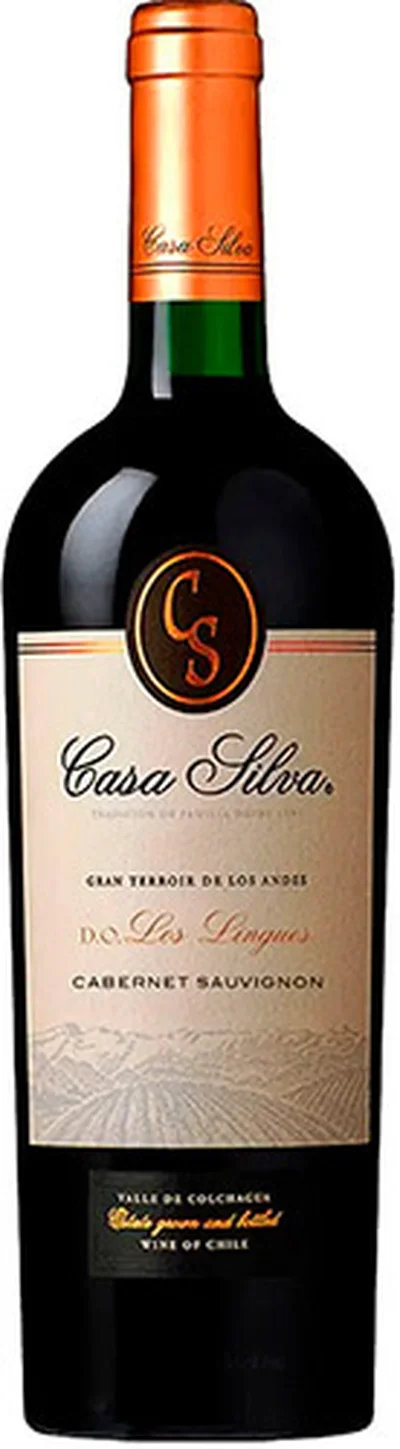 Casa Silva Gran Terroir De Los Andes Cabernet Sauvignon 2024