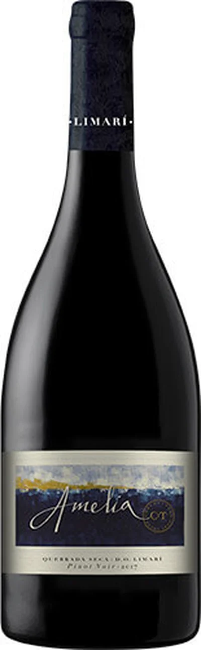 Concha Y Toro Amelia Pinot Noir 2022