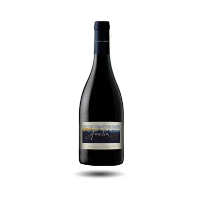 Concha y Toro - Amelia, Quebrada Seca, Pinot Noir, 2023
