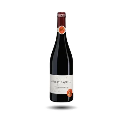 Côte de Brouilly - Vignerons Bel-Air, 2021