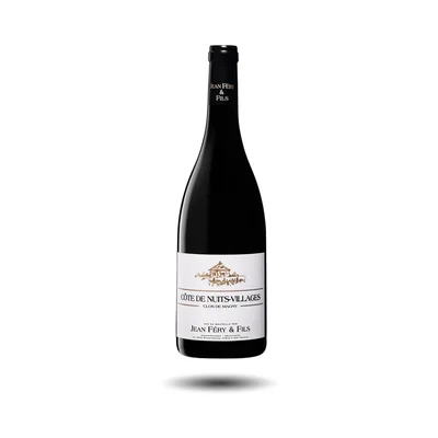 Côte de Nuits-Villages - Domaine Féry, Clos de Magny, 2021
