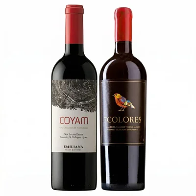 DUO COYAM - 7 COLORES: 1x Vino Orgánico COYAM 750cc + 1x Vino 7 Colores Icono Alzado Cabernet Sauvignon 750cc