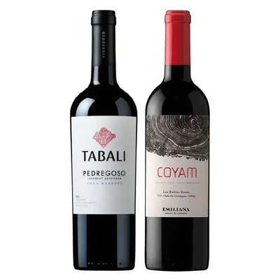 DUO COYAM - TABALI: 1x Vino Orgánico COYAM 750cc + 1x Vino Tabali Pedregoso Gran Reserva Cabernet Sauvignon 750cc