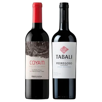 DUO COYAM TABALI N°2: 1x Vino Orgánico COYAM 750cc + 1x Vino Tabali Pedregoso Gran Reserva Carmenere 750cc