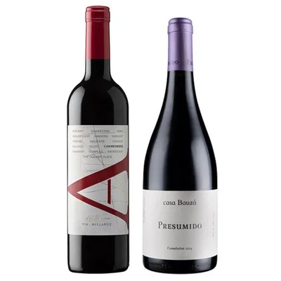 DUO VIK A - PRESUMIDO: 1x Vino VIK A Carmenere 750cc + 1x Vino Casa Bauzá Presumido Carmenere 750cc