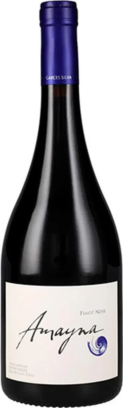 Garces Silva Amayna Pinot Noir Premium 2024