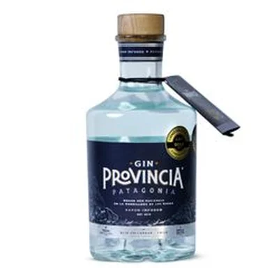 Gin Provincia Patagonia 43° 700 cc