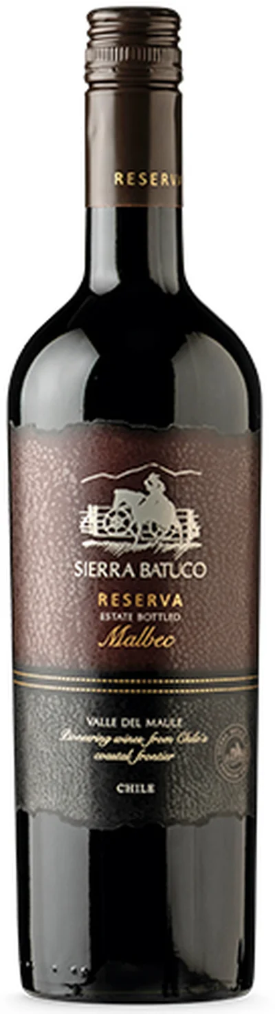Invina Sierra Batuco Malbec 2024