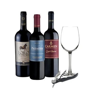 Pack 3 TORO DE CARMEN 750cc + Copa Premium + Descorchador