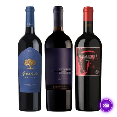 Pack 3x Vinos Ícono - Tierras Moradas + Arboleda Brisa + Caballo Loco Maipo 750ml
