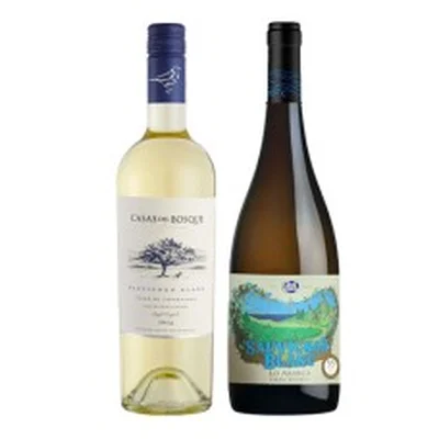 Pack 6 botellas Casas del Bosque Collection Sauvignon Blanc + 6 Casa Marin Lo Abarca Gran Reserva Sauvignon Blanc ($4.990 c/u)