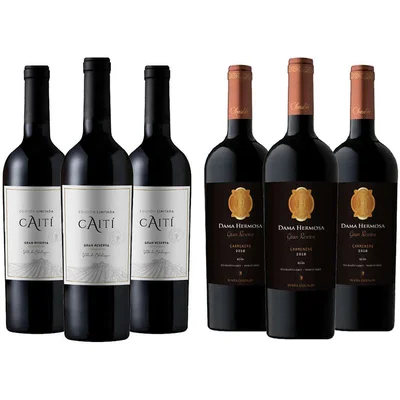 PACK CAITI - CHOCALAN (Gran Reserva): 3x Vino Caiti Gran Reserva Carmenere 750cc + 3x Vino Chocalan Dama Hermosa Gran Reserva Carmenere 750cc