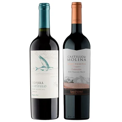 PACK DUO GRAN RESERVA Nº4 (Carmenere/Ensamblaje): 1x Vino Odfjell Capítulo Flying Fish Gran Reserva Ensamblaje 750cc + 1x Vino Castillo de Molina Gran Reserva Carmenere 750cc